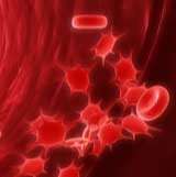 Blood Platelets Graphic from Get Well Natural Health Supplements